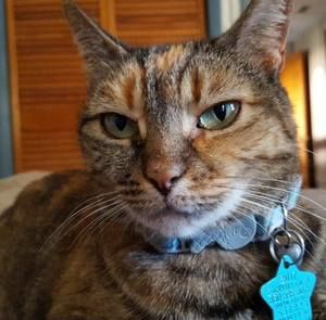 Meet your Posher, Sherry rae